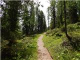 Rifugio Bai de Dones - Averau